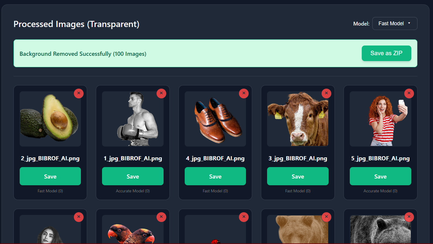 BIBROF AI processed multiple images in bulk on PC without credit deductions.