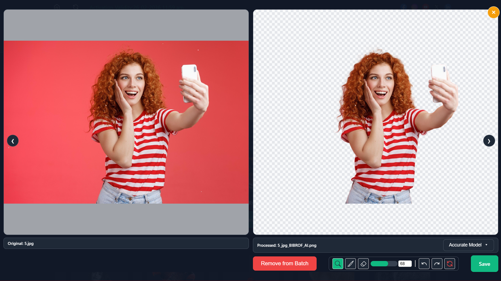 High-resolution preview of processed images in the BIBROF AI gallery showing preserved pixel quality.